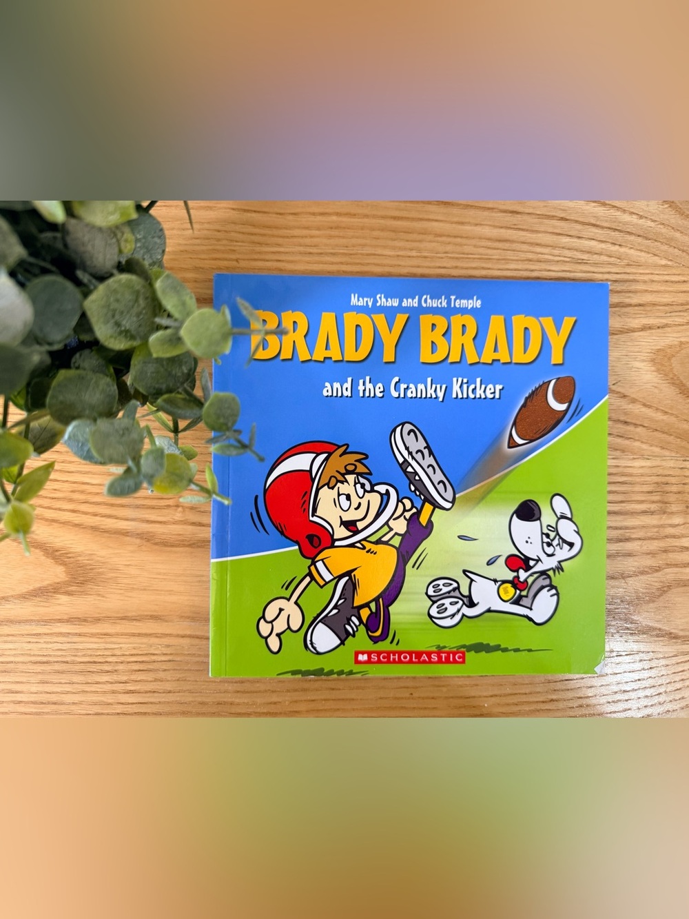 πΏ10/$25 β’ Scholastic Brady Brady and the Cranky Kicker
